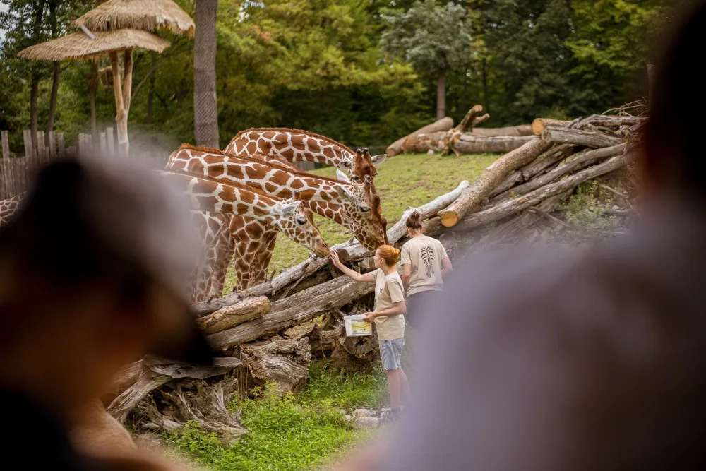 EKOFILM chystá na sobotu v Zoo Brno rodinný den. V neděli přehlídku vítězných filmů