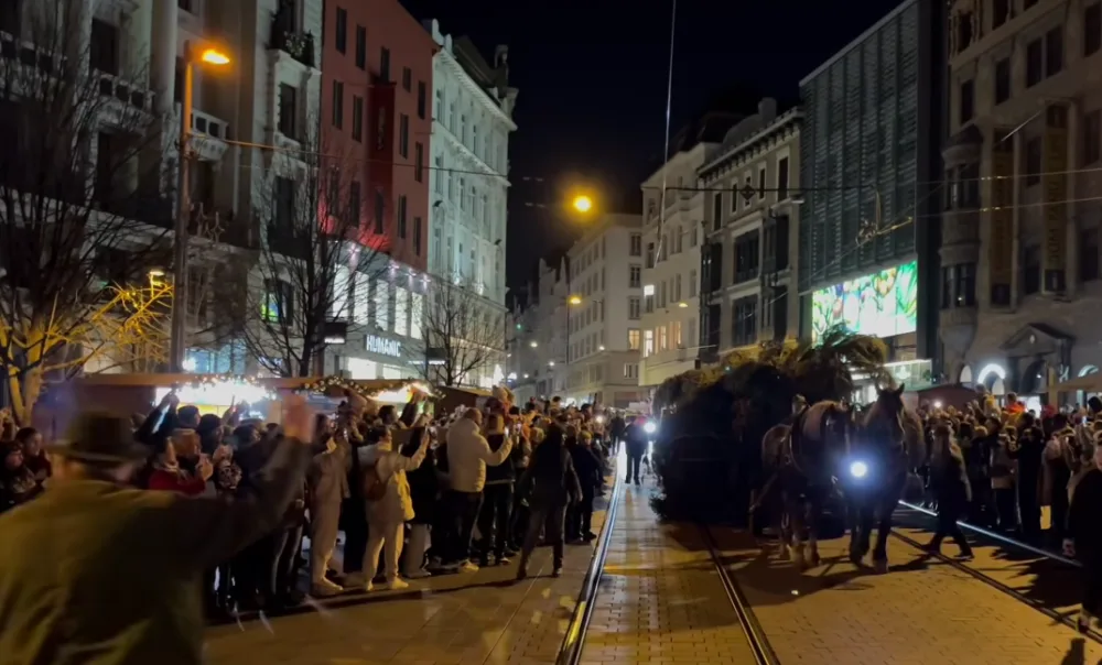 VIDEO: Do Brna dorazil vánoční strom. Stopadesátiletou jedli přivezli na koňském povoze