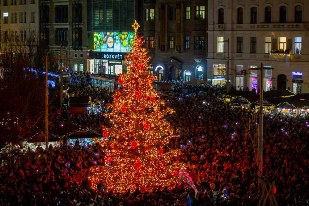 Strom na náměstí Svobody.