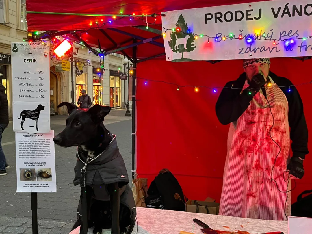 VIDEO: Kapři také cítí bolest, hlásají aktivisté v Brně. Od zabíjení ryb odrazují fiktivním prodejem vánočních psů