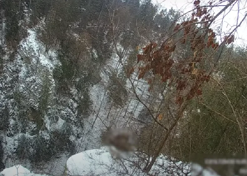 VIDEO: Mladík uvažující o sebevraždě uklouzl na okraji Macochy. Visel nad propastí jen za tenkou větvičku
