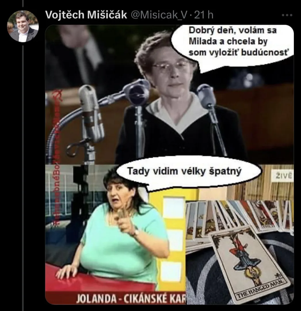 Komunista zesměšňuje popravu Horákové nebo smrt Palacha. Bolševický prase, píší lidé v komentářích