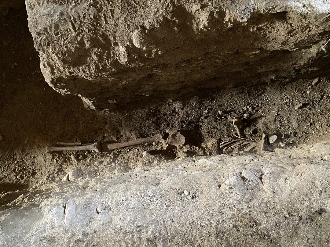 Klášter na Brněnsku vydal cenné poklady. Archeologové v Rosa Coeli našli historickou dlažbu i šperky