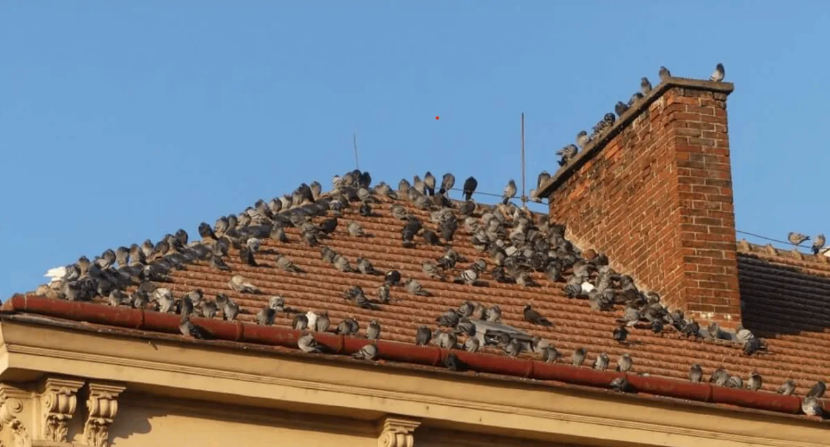 Ilustrační fotografie