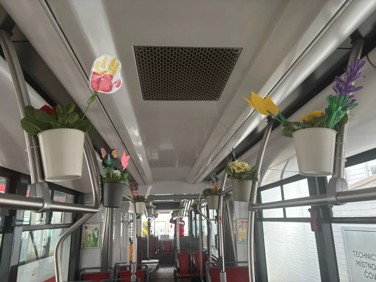 Ulice jihomoravské metropole brázdí jarní šalina. Zdobí ji desítky živých květin a dětské obrázky