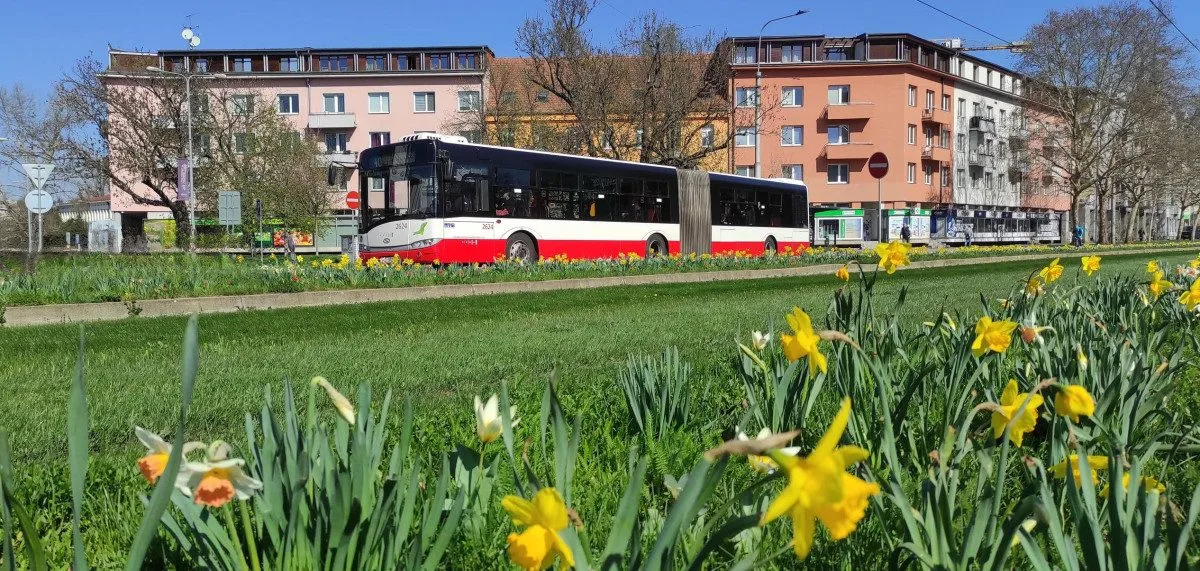 Dopravní podnik města Brna zahajuje nový výzkum. Zaměří se na prevenci nehodovosti