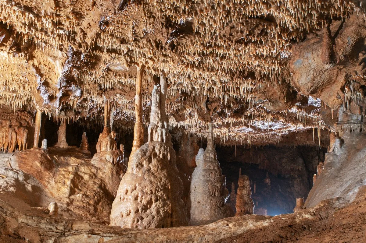 Před sto lety vkročili první turisté do jeskyně Balcarka v Moravském krasu
