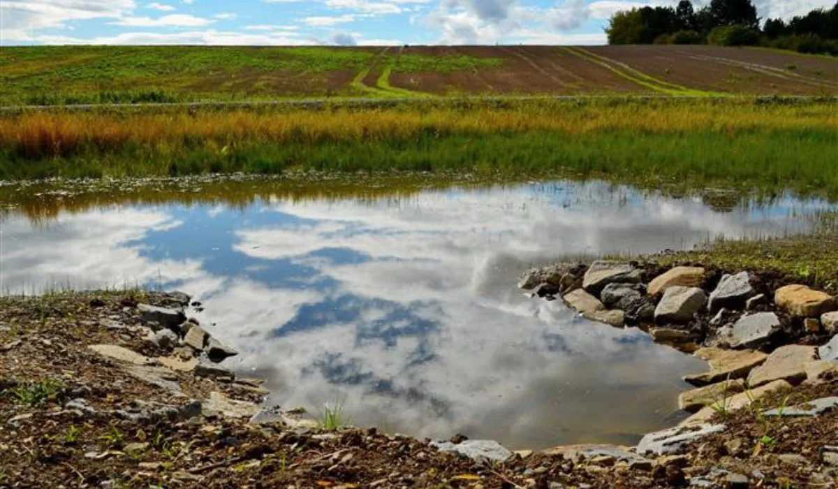 Ve Vyškově vznikne nový mokřad, který podpoří biodiverzitu u Lulečského potoka