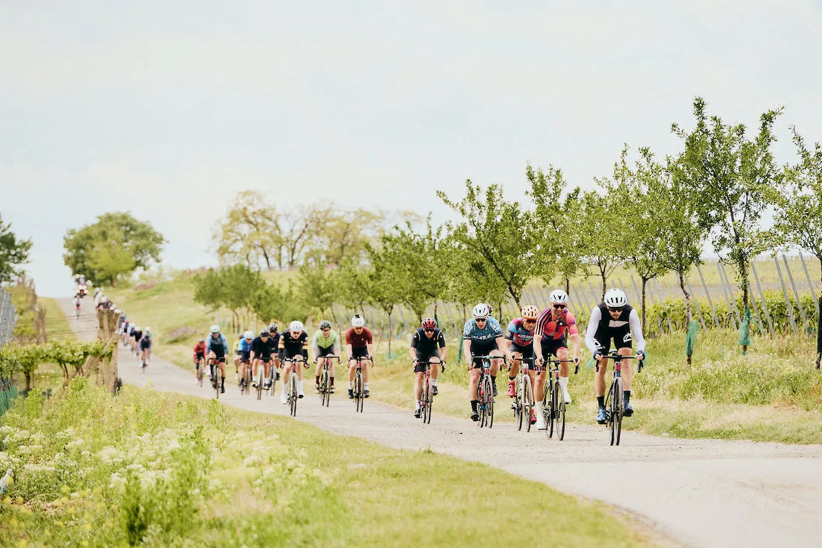 Tisícovka srdcařů mezi vinohrady. Seriál Road Classics odstartoval rekordem
