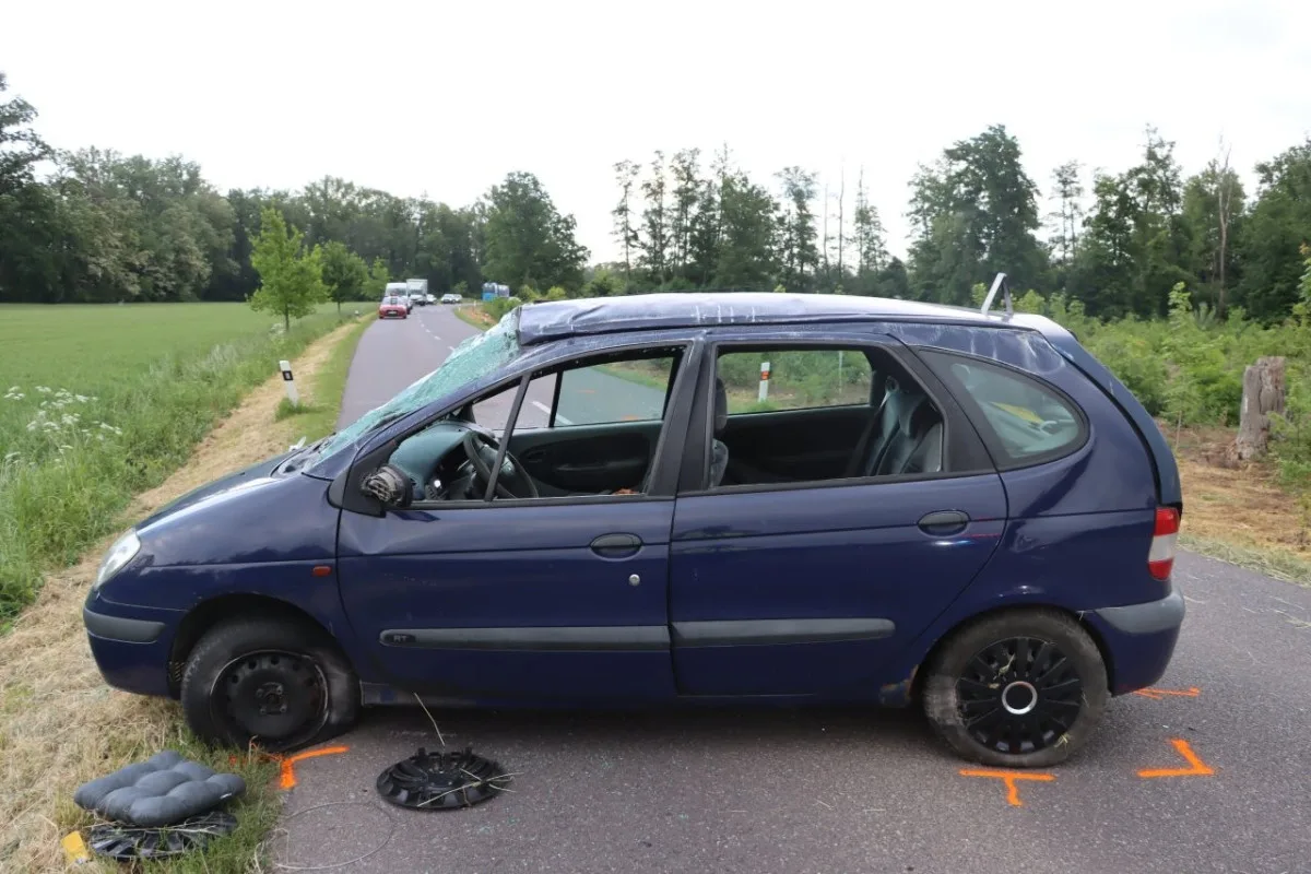 Řidiči na Znojemsku skočil za krk rozdováděný pes. V úleku havaroval