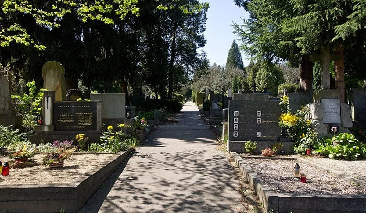 reko hřbitovů