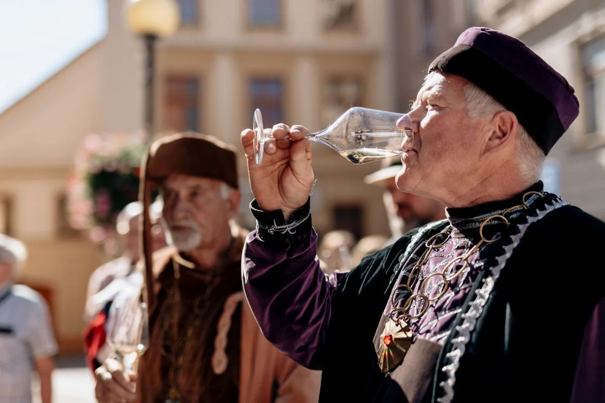 Znojemské historické vinobraní 2025: Když se víno potká s historií