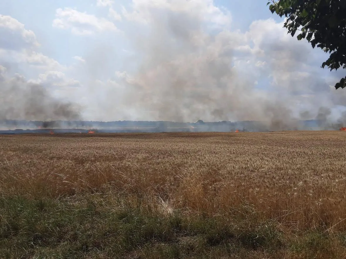 Na Břeclavsku hořelo pole. Škoda se zjišťuje, nikdo se nezranil