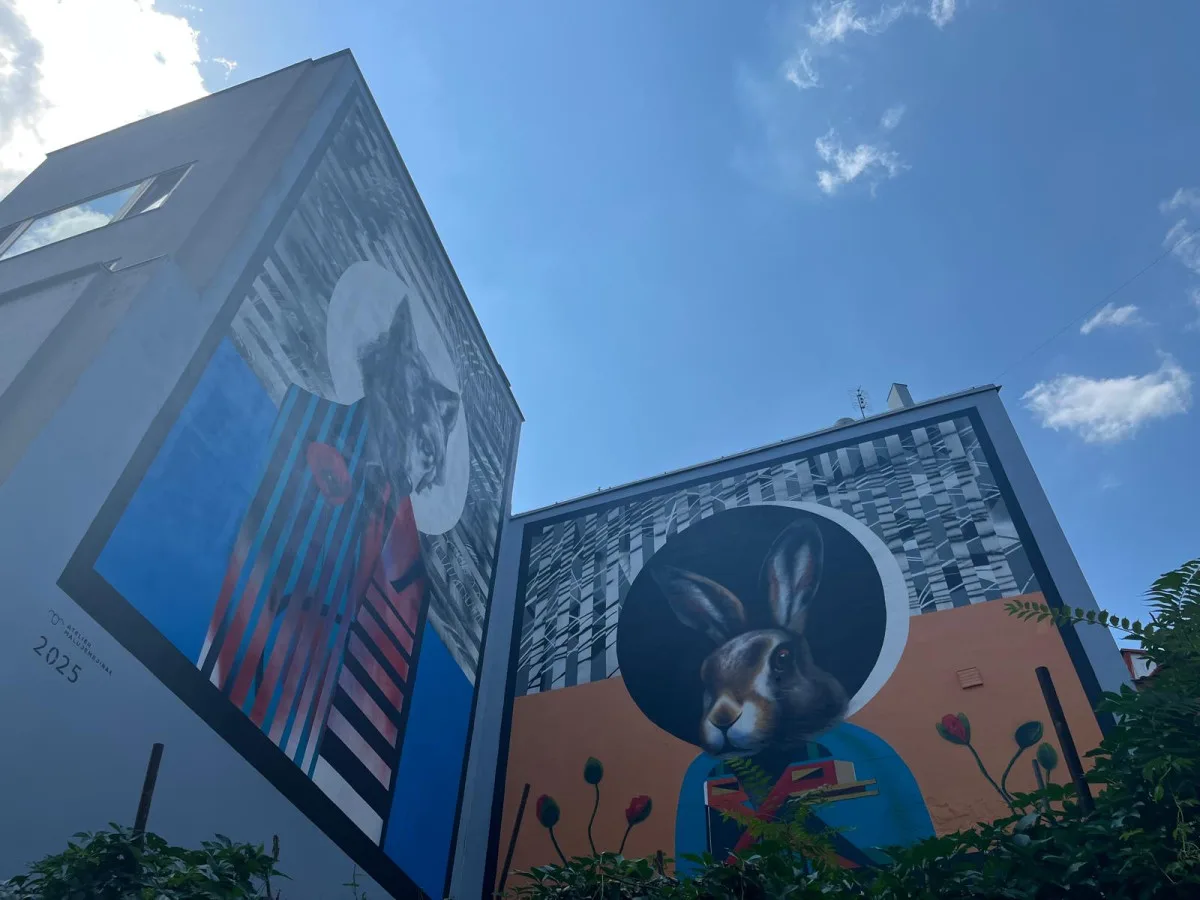VIDEO: Největší mural v Brně. Centrum města zdobí vlk a zajíc