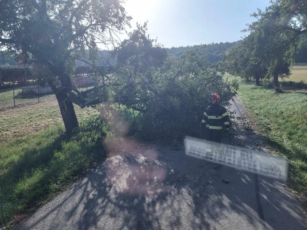 Vítr na jihu Moravy lámal stromy a ničil střechy. Hasiči hlásí téměř šedesát zásahů