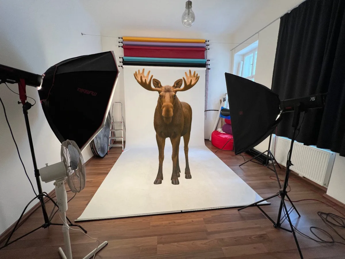 Ilustrační fotografie