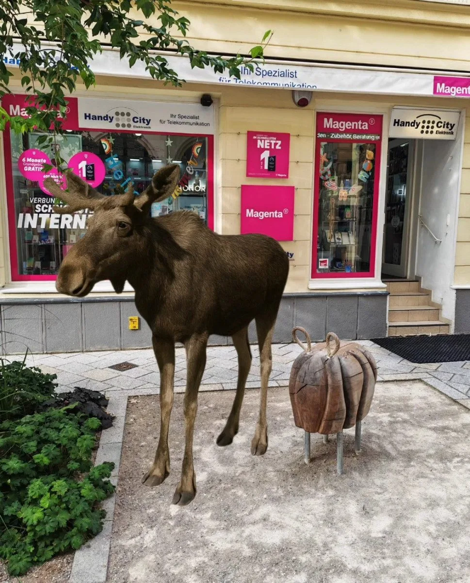 Los v ateliéru, bance nebo kavárně. Emil se stal za hranicemi marketingovým tahákem