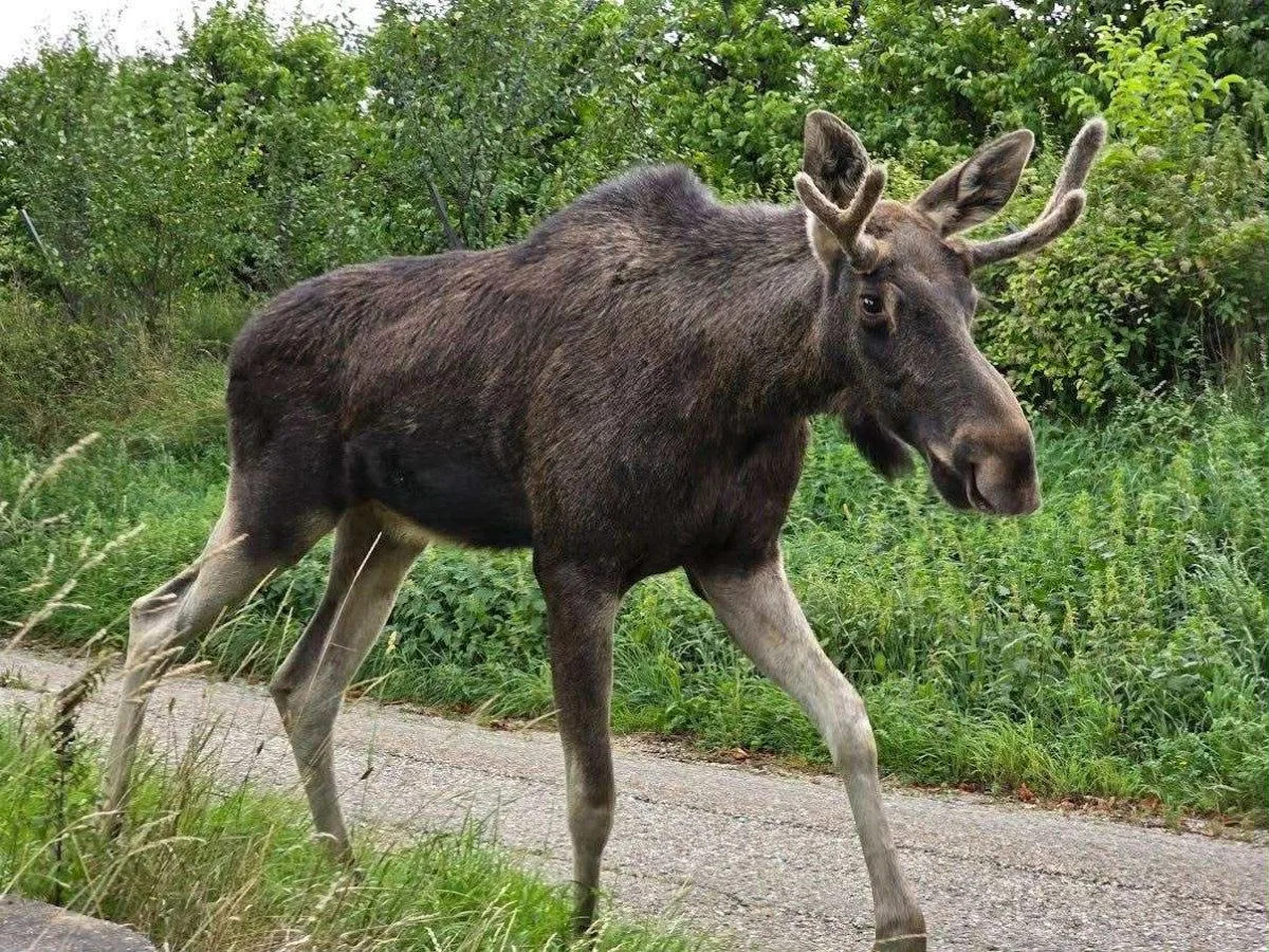 Ilustrační fotografie