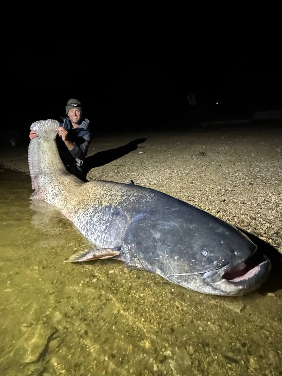 Rybář Vágner ulovil na Vranově dalšího macka, tentokrát měří hned 255 centimetrů
