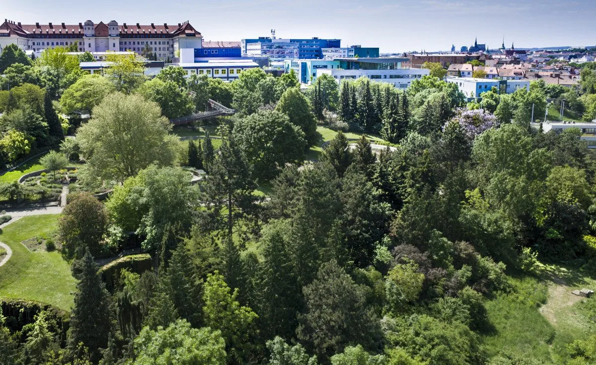 Botanickou zahradu trápí sucho. Brněnská univerzita chystá vlastní vrt 