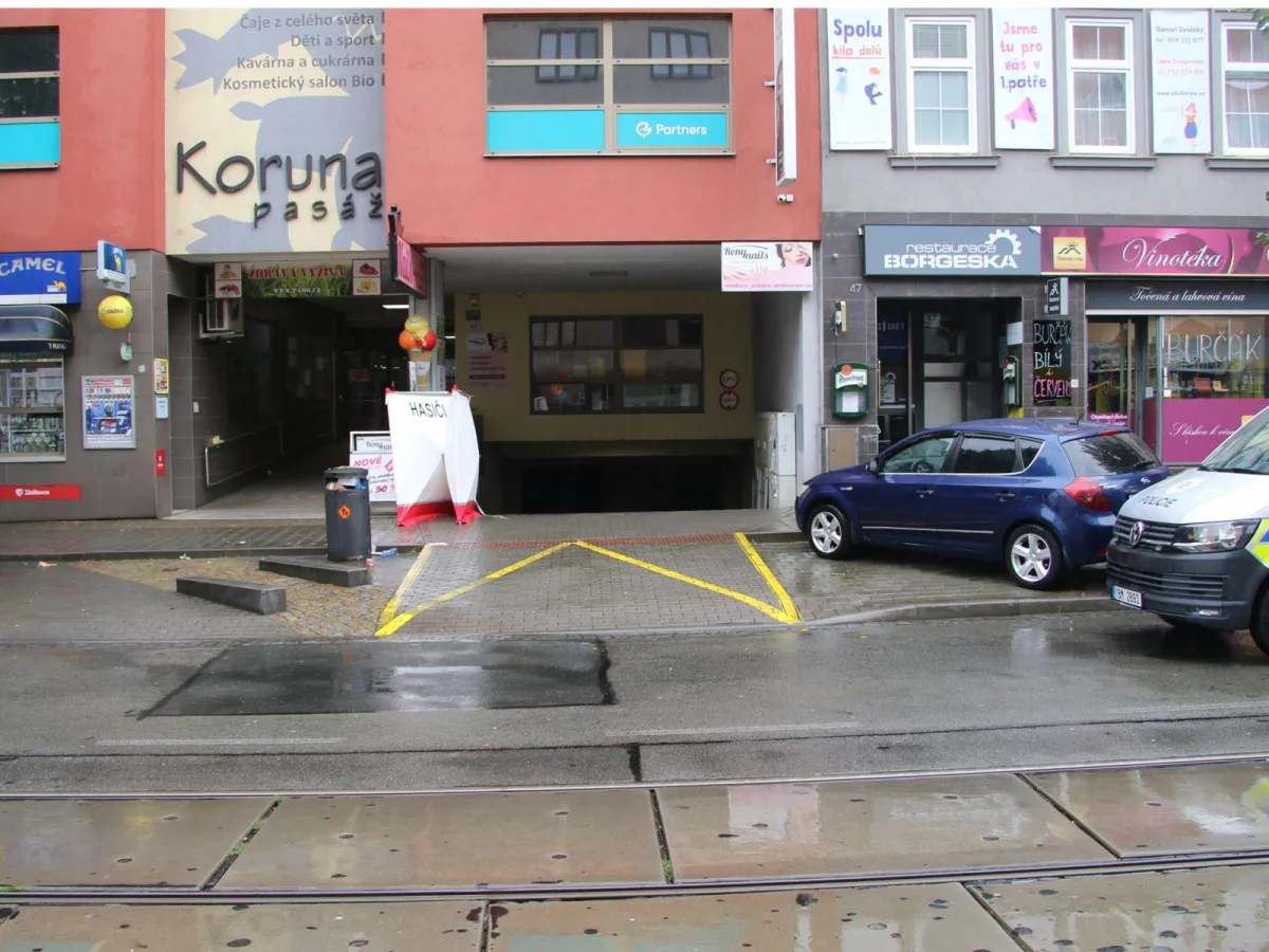 17273442652163-60-ridic-v-brne-pri-vjezdu-do-garaze-prejel-leziciho-muze-ktery-zemrel-policiste-hledaji-svedky