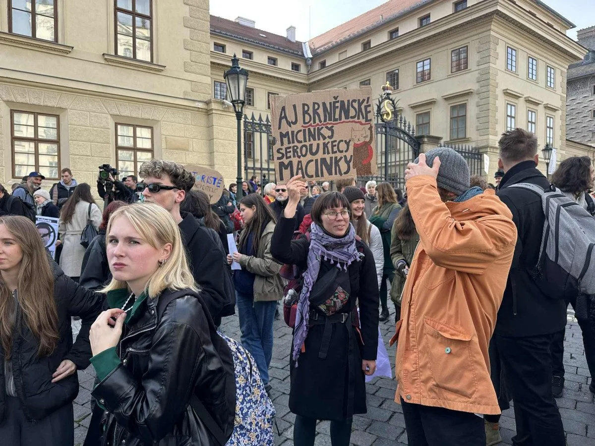 Ilustrační fotografie