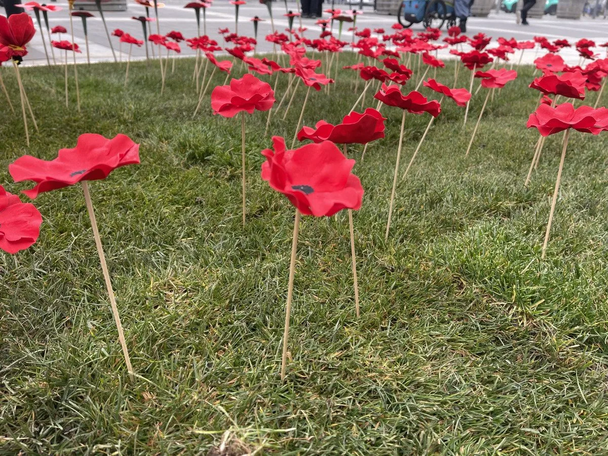 Lidé na Moravském náměstí v Brně zasadili vlčí máky jako symbol úcty k válečným veteránům