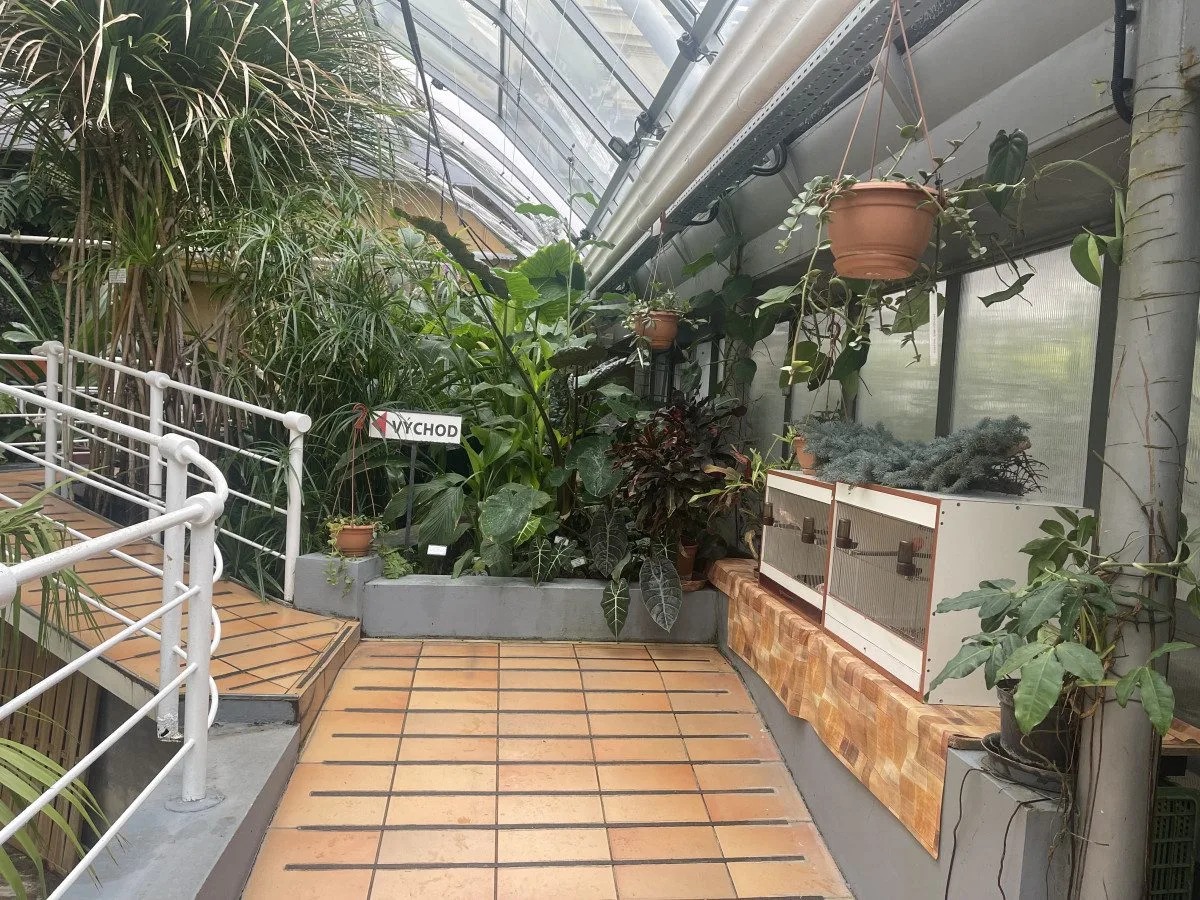 V Brně ožívá botanická zahrada. Začíná výstava plná papoušků, morčat, králíků i plazů