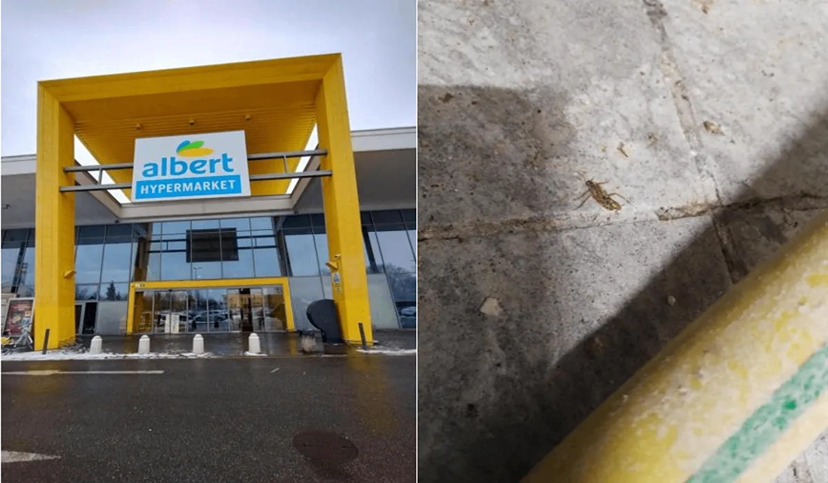 Inspektoři zavřeli pekárnu v brněnském Albertu. Provozovnu v Tkalcovské obýval hmyz