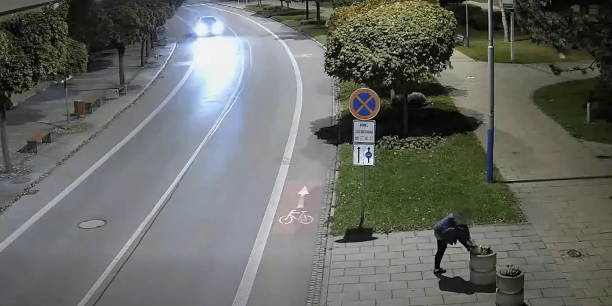 Ženě z Břeclavi učarovaly květiny z městských záhonů. Nosila si je domů