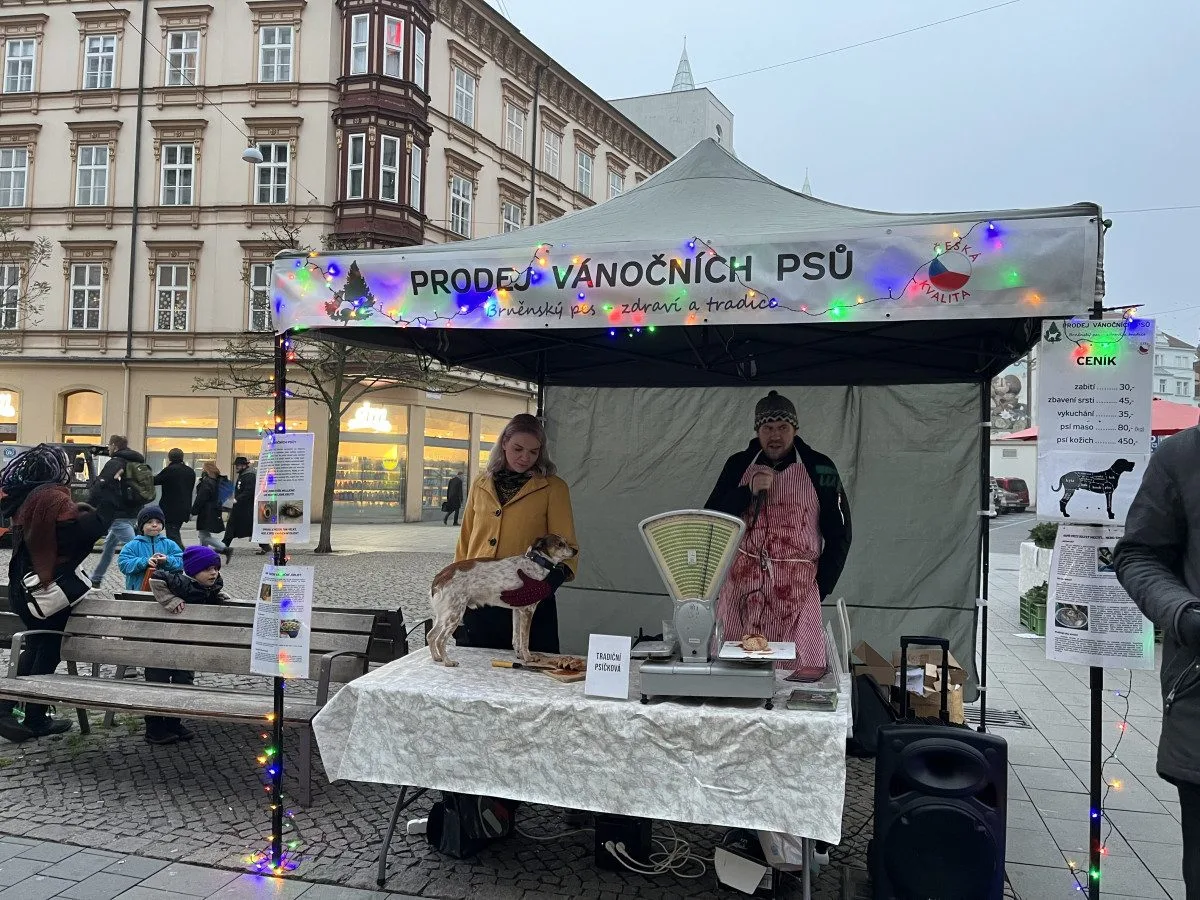 Kapři cítí bolest, míní aktivisté z Brna. Místo ryb nabízejí vánoční psy