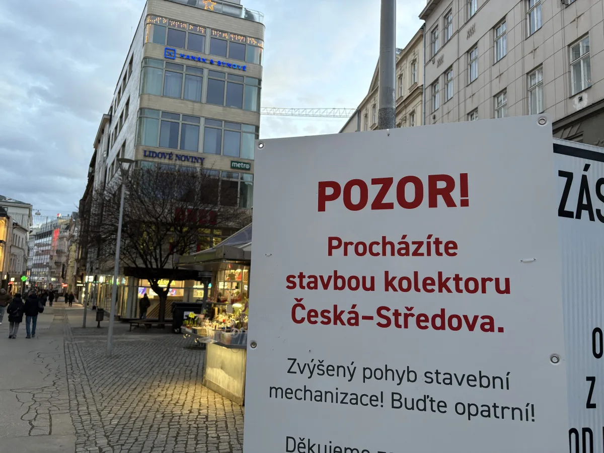 Javory na České v Brně půjdou během ledna k zemi, ustoupí výstavbě kolektoru
