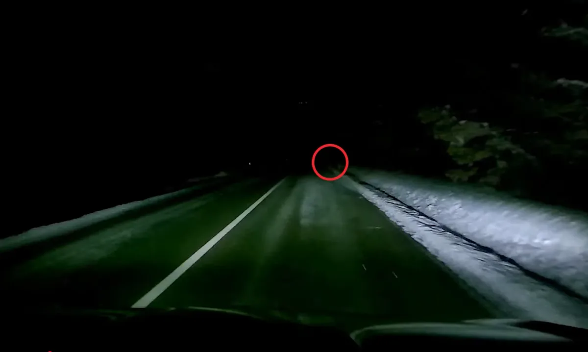 VIDEO: Řidiči ho neviděli. Chodec bez reflexů riskoval své zdraví, dostal pokutu