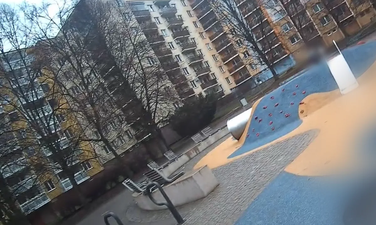 Snímek obrazovky 2026-02-13 104002