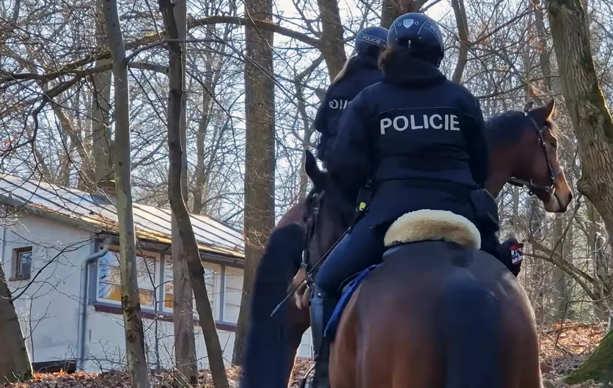 VIDEO: Opuštěné chaty na Hodonínsku kontrolovali i policejní koně. Vloupání ubylo