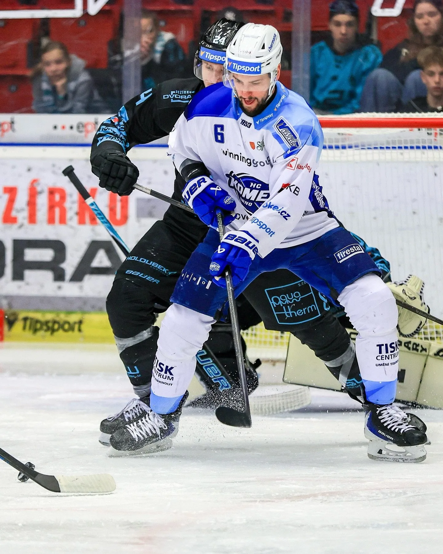 Hokejisté Karlových Varů zdolali Brno 3:2 v prodloužení, rozhodl Minárik