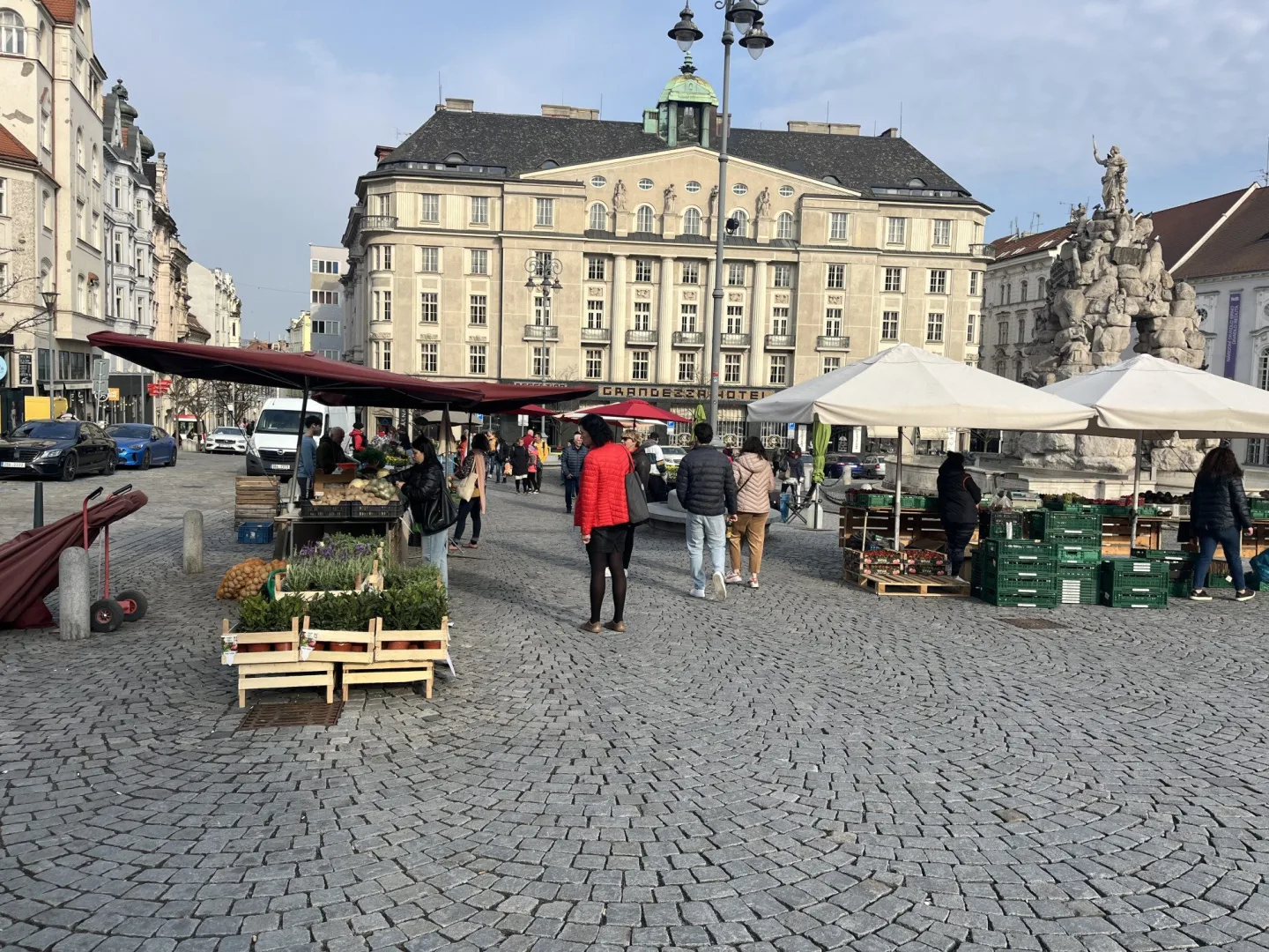 FOTO: Zelný trh po zimě ožívá. Lidé tam nakoupí bylinky nebo sazenice