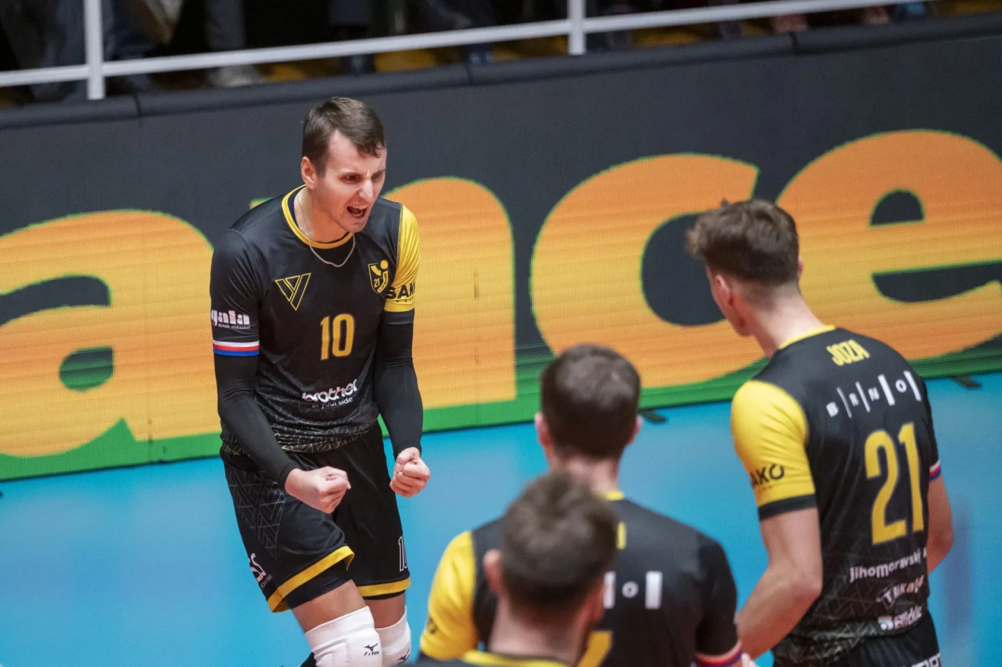 Volejbalové Brno v euforii. Šelmy útočí na titul, muži ladí formu na předkolo