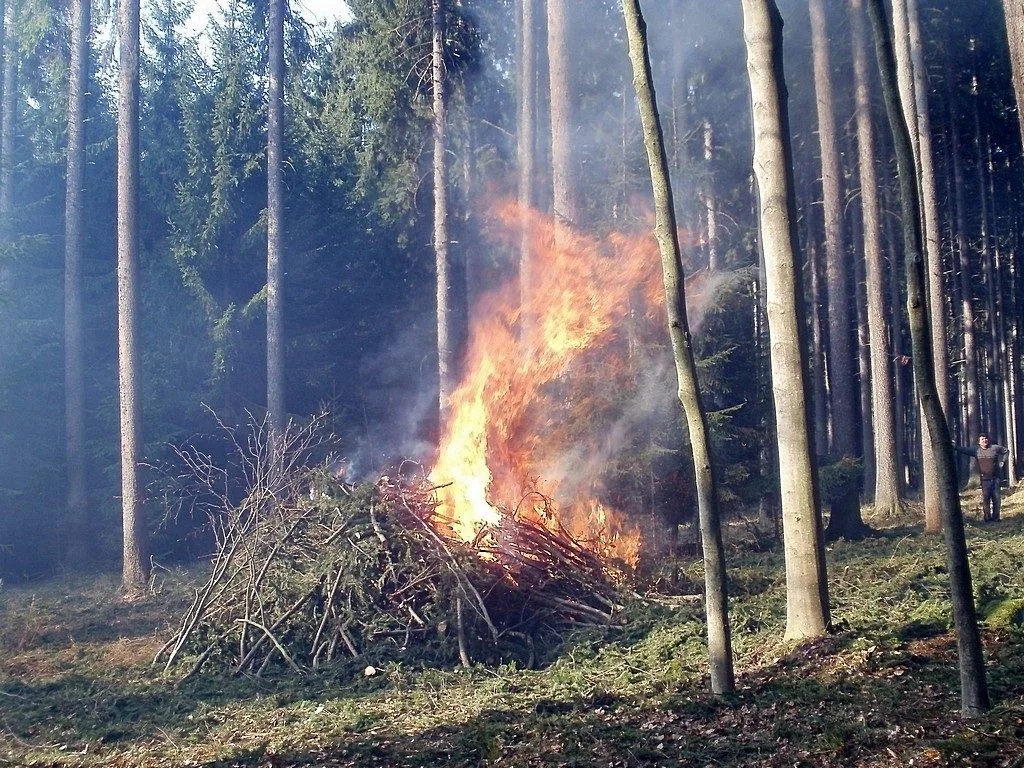 Ilustrační foto