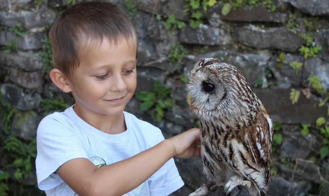 Zámek Plumlov zve na Requiem za rytíře