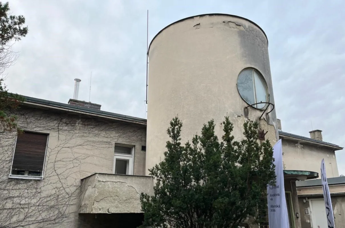 Dobrovolníci dnes pracovali na obnově zahrady vily Wittal v Brně