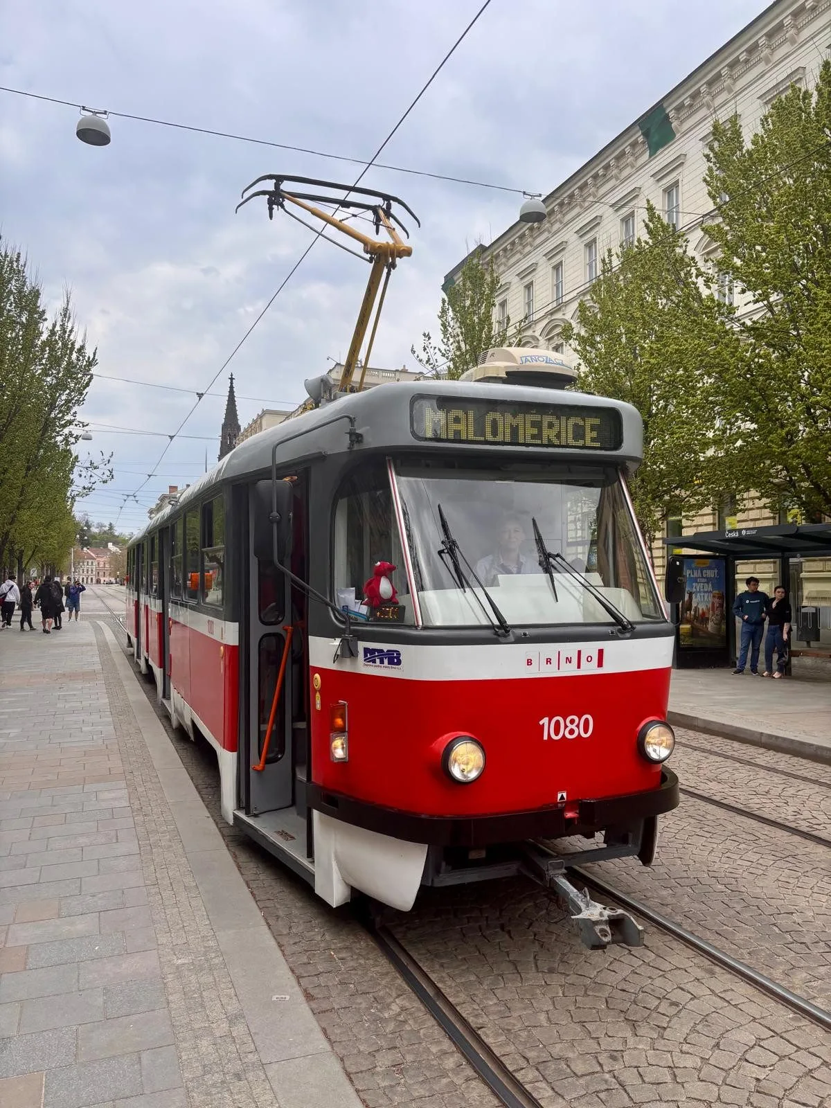 Brňané se rozloučili s ikonickými šalinami, pro charitu přitom vybrali desítky tisíc