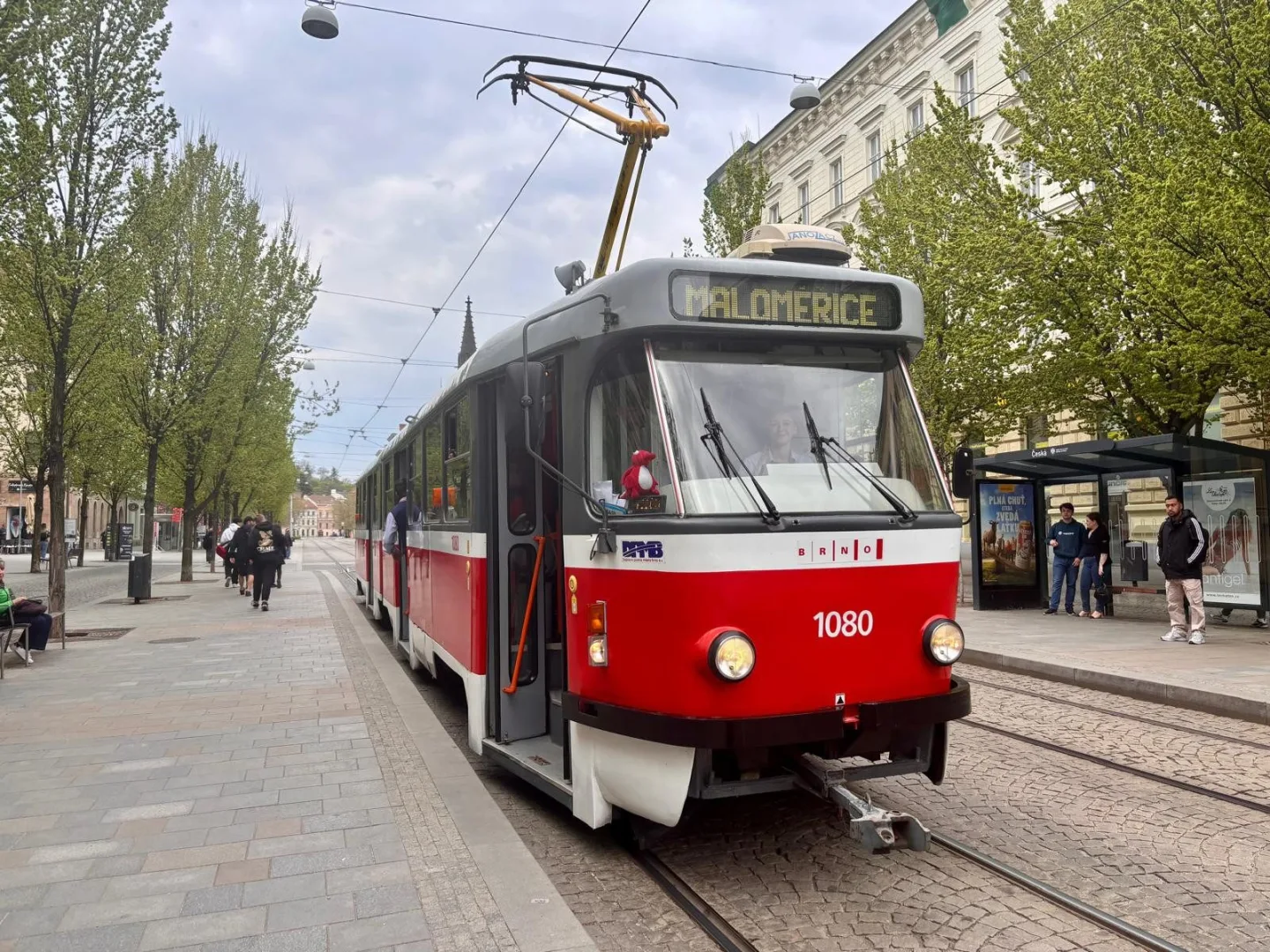 Brňané se rozloučili s ikonickými šalinami, pro charitu přitom vybrali desítky tisíc