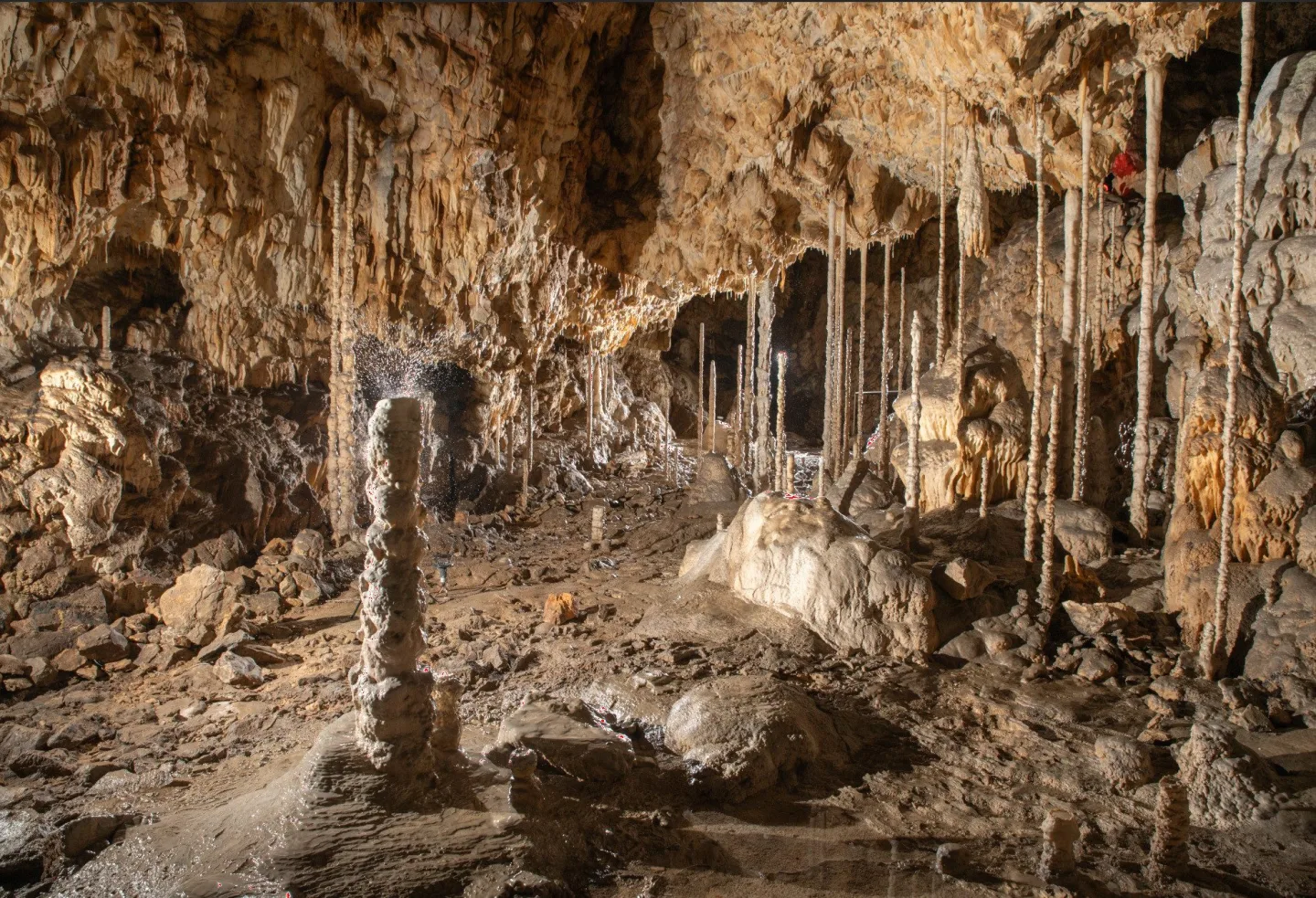 Před 120 lety zmapoval Absolon Kateřinskou jeskyni. Výročí doprovází archeoprohlídky