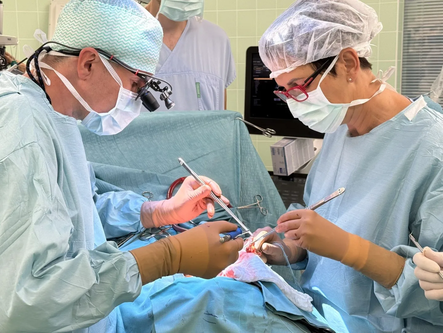Deset let od milníku. Brněnská lékařka jako první žena v Česku transplantovala srdce