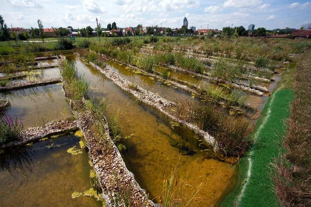 Přírodní čištění biotopu