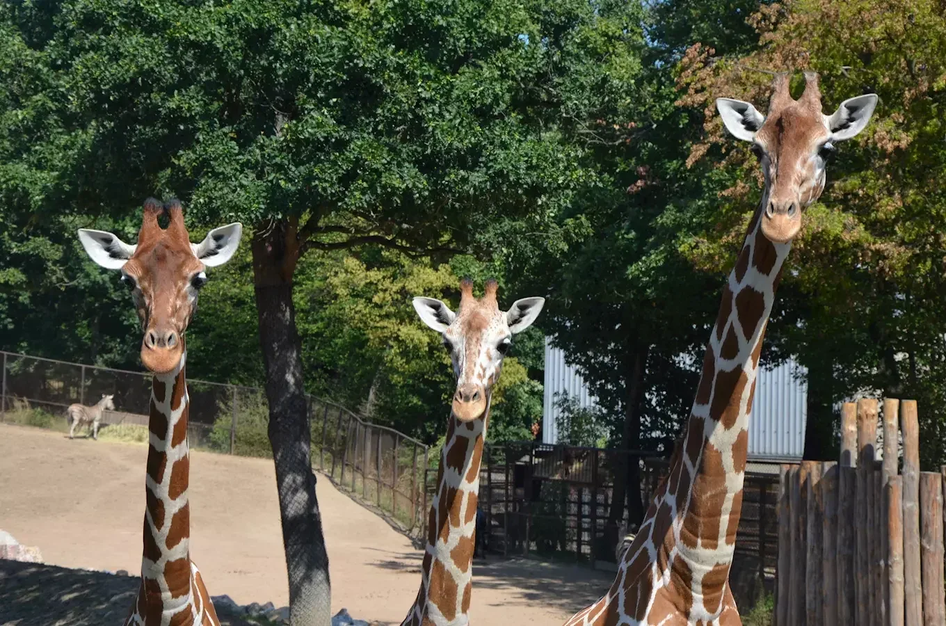 Kam o víkendu na jižní Moravě? Na noční bloudění, den v zoo nebo neckyádu