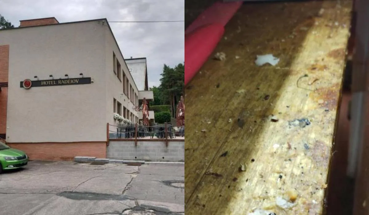 Hlodavci a špína. V zázemí restaurace na Hodonínsku se zřejmě moc neuklízelo