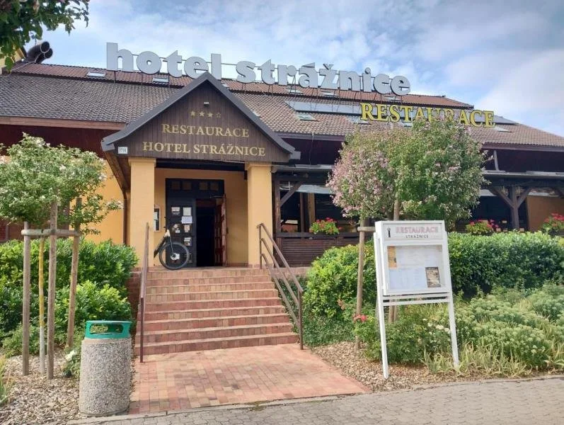 Mrtví hlodavci i hmyz. Inspektoři zavřeli restauraci ve Strážnici