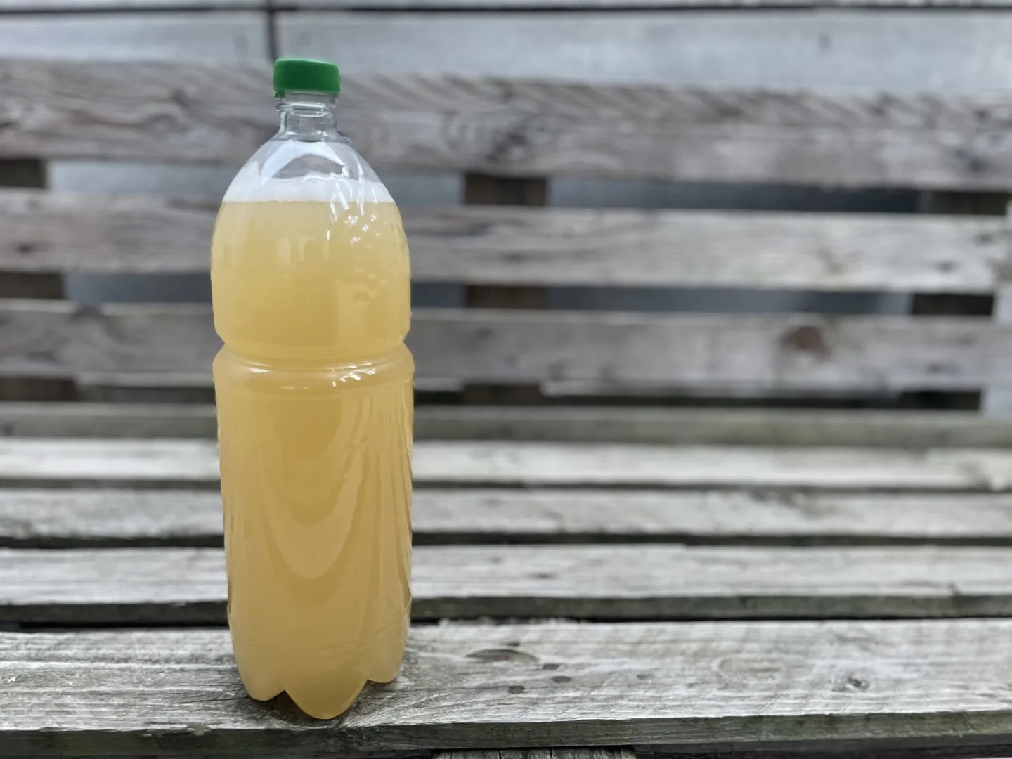 Jak si vybrat poctivý burčák? Experti radí, na co se zaměřit a jak nápoj skladovat